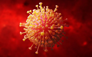 Мю-штамм коронавируса может обходить защиту антител, — главный инфекционист США