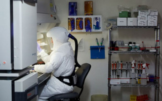 Победит «Дельту» и другие мутации: медики обнаружили уникальное антитело