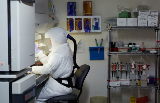 Победит «Дельту» и другие мутации: медики обнаружили уникальное антитело