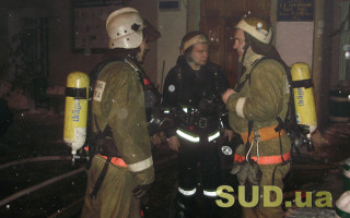 В Закарпатской области возник пожар в цехе по производству брикета