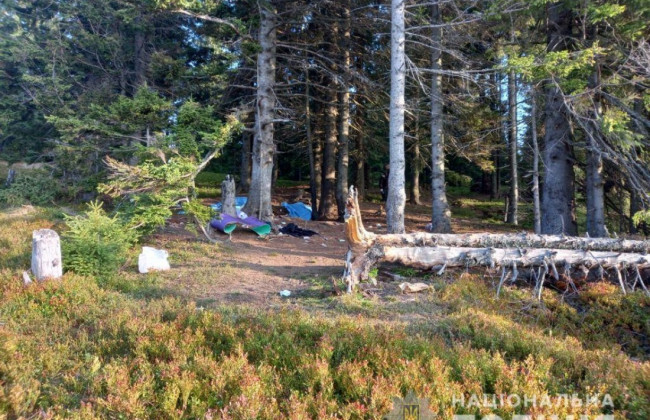 Могли бути снаряди часів Першої світової війни: названа можлива причина вибуху в Карпатах