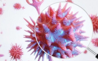 Всплеск «Дельты» пойдет на спад: биологи говорят о цикличном развитии индийского штамма