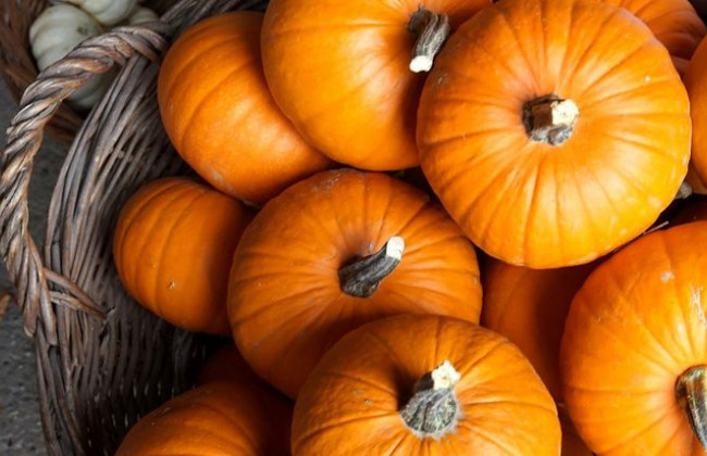 В Черкасской области учительница заставляла детей работать на школу