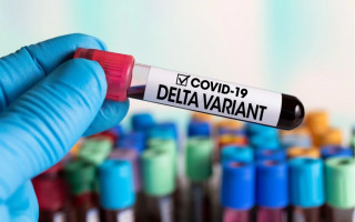Ничто не сравнится с «Дельтой»: ученые оценили заразность COVID-штаммов