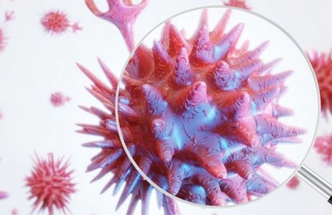 Всплеск «Дельты» пойдет на спад: биологи говорят о цикличном развитии индийского штамма