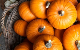 В Черкасской области учительница заставляла детей работать на школу