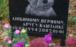 Части тел выглядывают из земли: в Днепре разрушили зоокладбище, фото
