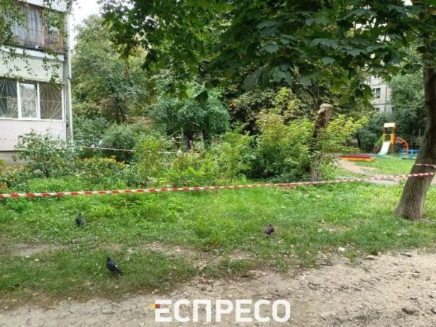 В Киеве убили женщину прямо на детской площадке