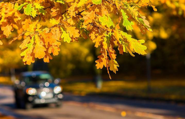 Назвали 5 деталей в авто, які обов’язково потрібно перевірити восени