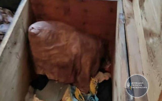 В деле об исчезновении брата и сестры, тела которых нашли в старом сундуке, появились новые детали