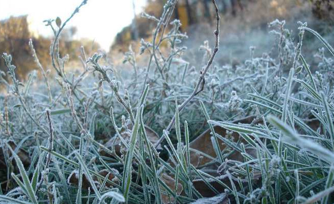 В Украину идет резкое похолодание: стало известно, где ждать заморозков