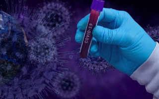 Стало известно, как коронавирус подавляет иммунитет