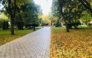 Киевлян предупредили о похолодании