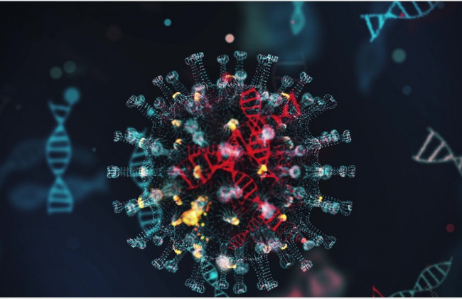 Ученые нашли препараты, блокирующие размножение коронавируса