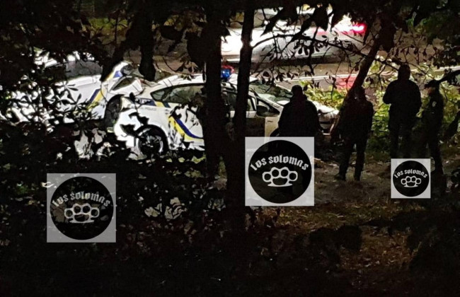 В Киеве автомобиль полиции сломал дерево и скрылся с места событий