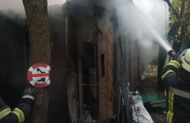 В Киеве вспыхнул пожар на территории Гидропарка: есть жертва