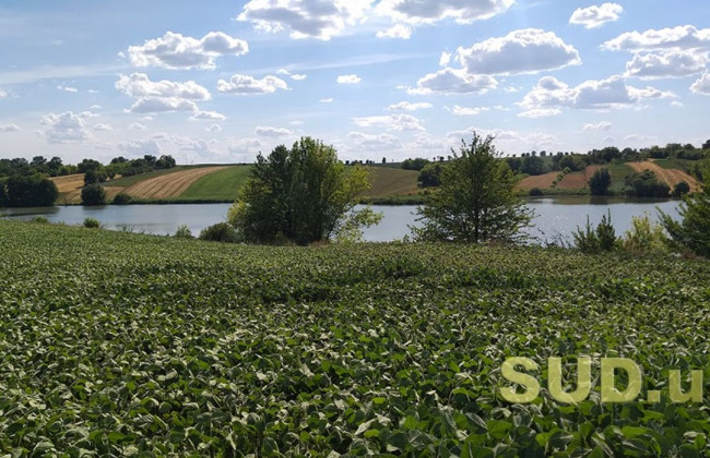 Надання дозволу на виготовлення проекту землеустрою щодо відведення земельної ділянки: постанова КАС ВС