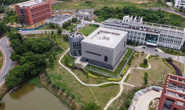 Как и где мог возникнуть коронавирус: итоги исследования