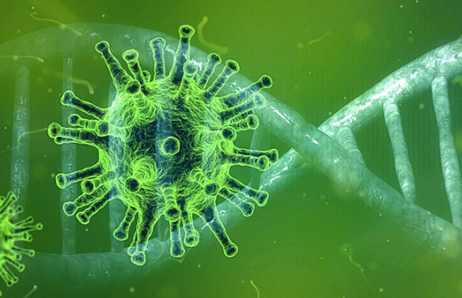 COVID предлагают лечить с помощью антител: что известно о методе