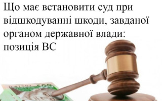 Що має встановити суд при відшкодуванні шкоди, завданої органом державної влади: позиція ВС