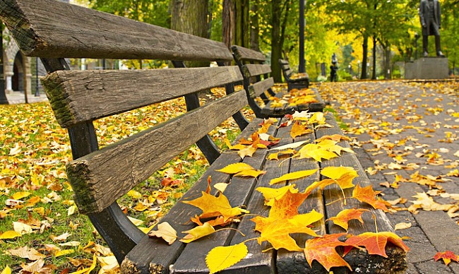 Солнечная осенняя погода: украинцам рассказали, как начнется неделя