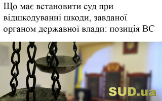 Що має встановити суд при відшкодуванні шкоди, завданої органом державної влади: позиція ВС