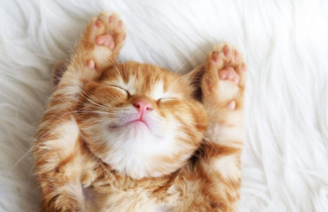 Украинцев в октябре ждут длинные выходные: когда будем отдыхать