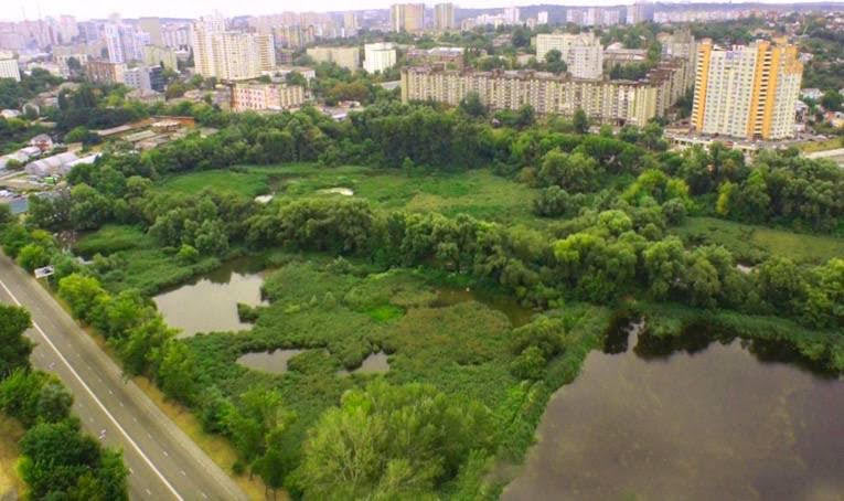 Громаді Києва повернуто 19 га землі Совських ставків