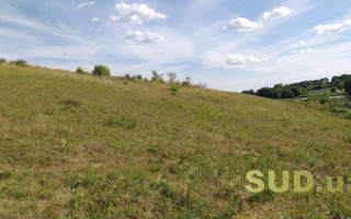 Продаж паїв, які передані у користування за договором оренди: що потрібно знати