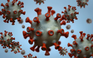 Биологи показали, как коронавирус инфицирует организм человека