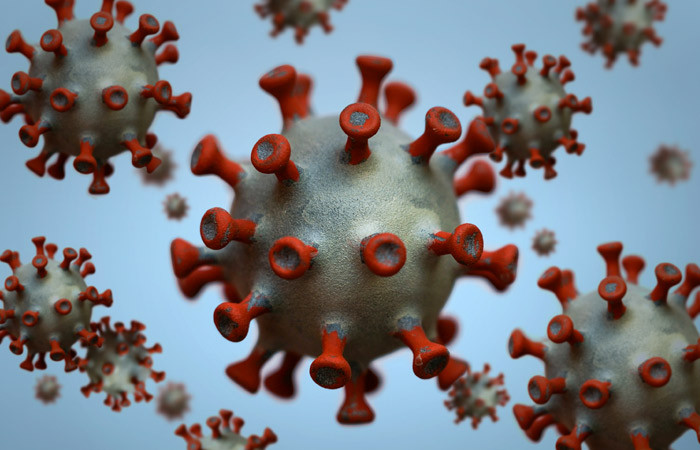 Биологи показали, как коронавирус инфицирует организм человека