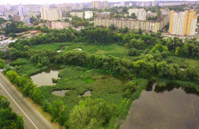 Громаді Києва повернуто 19 га землі Совських ставків