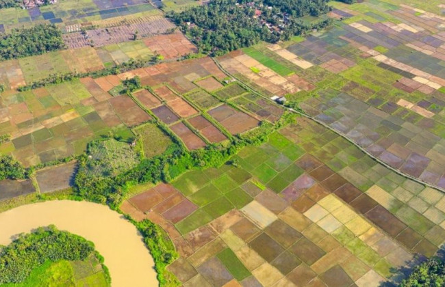 Право на отримання земельної ділянки: що варто знати