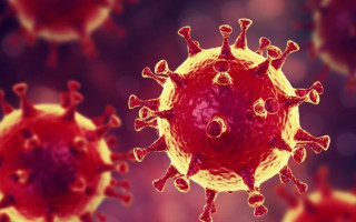 Защитит даже от «Дельты»: некоторые люди могут получить гипериммунитет от коронавируса