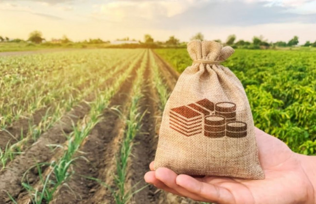 Продаж землі, яка передана у користування за договором оренди: особливості