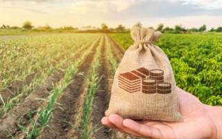 Продаж землі, яка передана у користування за договором оренди: особливості