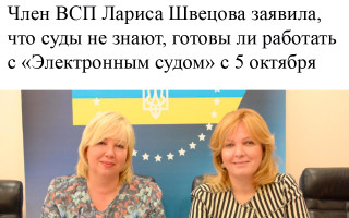 Член ВСП Лариса Швецова заявила, что суды не знают, готовы ли работать с «Электронным судом» с 5 октября