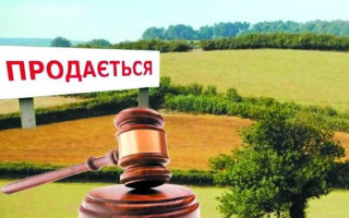 Продаж і оренда землі: Prozorro розпочинає торги