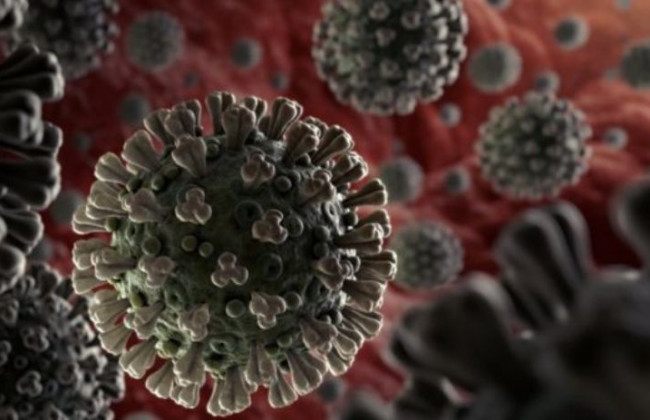 Стало известно, какой уровень антител защищает от COVID-19