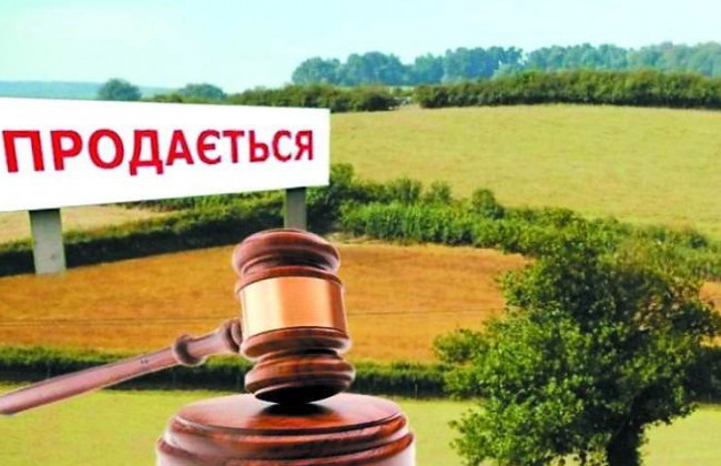 Продаж і оренда землі: Prozorro розпочинає торги