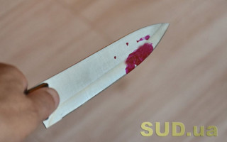 В Киеве женщина 55 ударами ножа убила полицейскую: есть новые детали