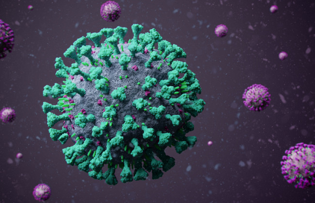 Почему мутирует коронавирус: ученые нашли причину
