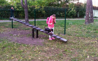 В Днепровском районе Киева открыли новую площадку для выгула собак