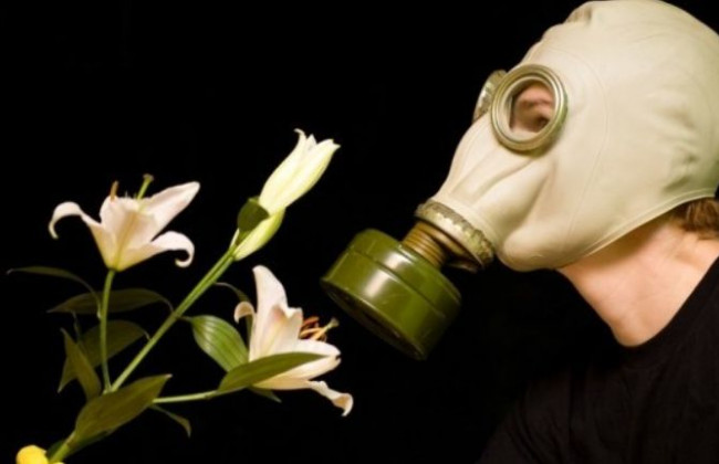 Стало известно, как вернуть обоняние после коронавируса