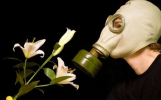 Стало известно, как вернуть обоняние после коронавируса