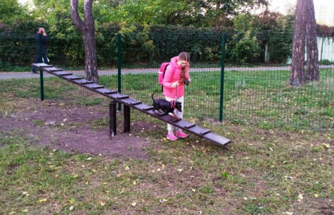 В Днепровском районе Киева открыли новую площадку для выгула собак