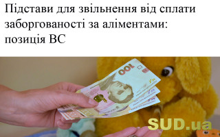 Підстави для звільнення від сплати заборгованості за аліментами: позиція ВС