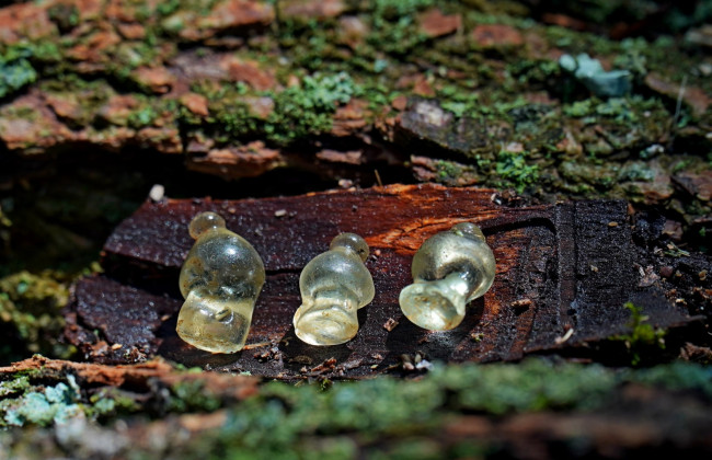 В Полтавской области археологи нашли уникальные украшения