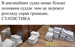 В апеляційних судах немає більше половини суддів: чим це загрожує розгляду справ громадян, СТАТИСТИКА