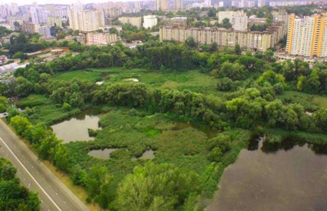 Прокуратура остаточно повернула киянам нижній каскад Совських ставків